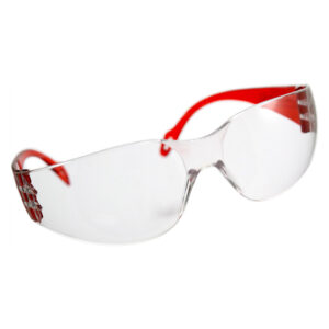 Indospec Polycarbonate Safety Goggles 6 Safety Goggles