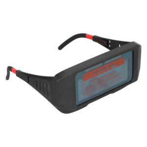 Auto Darkening Goggles (LS-257) - 4